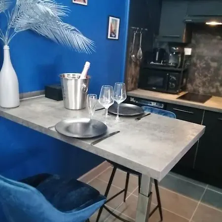 Avec Sauna Et Balneo Privatifs -troyes Centre Troyes