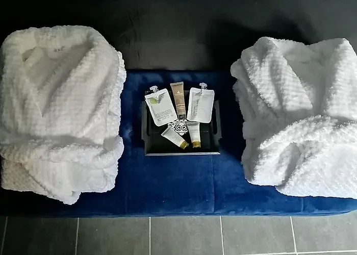 Avec Sauna Et Balneo Privatifs -troyes Centre *